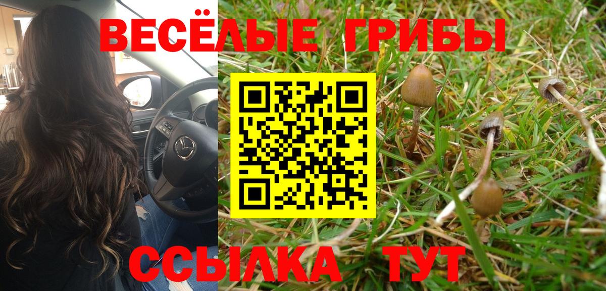 Галлюциногенные грибы Psilocybine cubensis  купить закладку  Котлас  Вход с VPN 